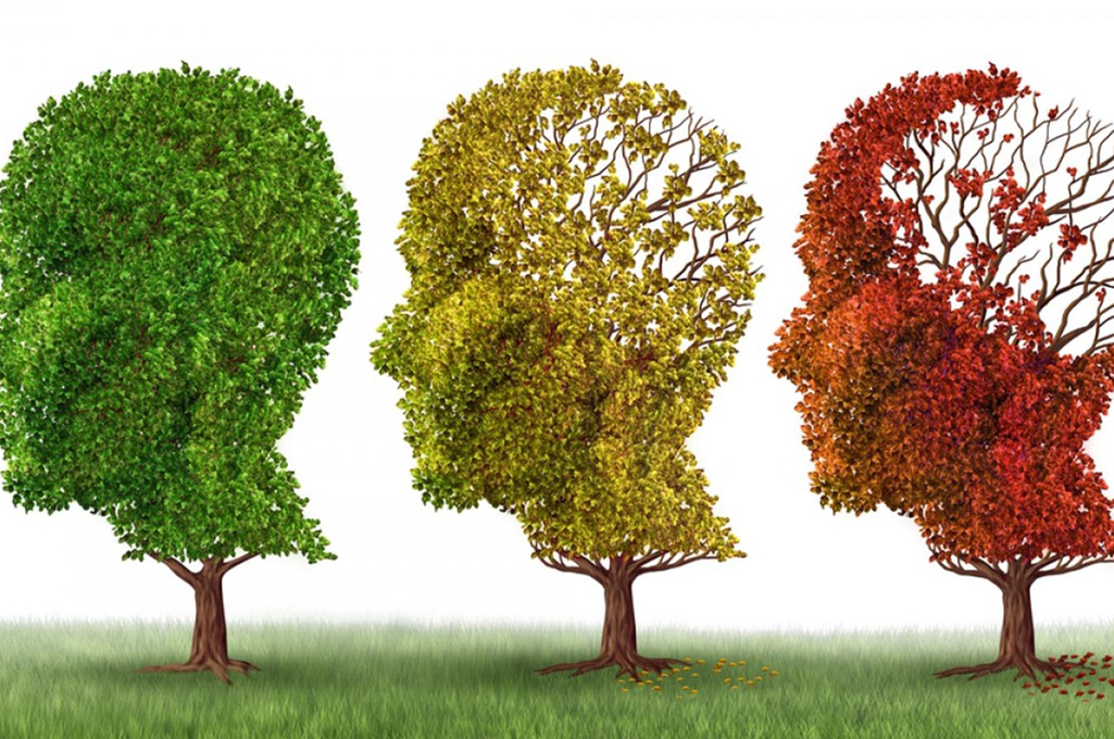 Giornata mondiale dell'Alzheimer, una malattia in crescita