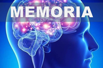 Come tenere la memoria allenata nonostante l’invecchiamento?